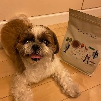 �V�[�Y�[�i8�����j